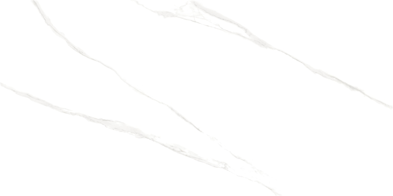 Porcelanato Retificado Acetinado Monet 61 x 120 cm Helena